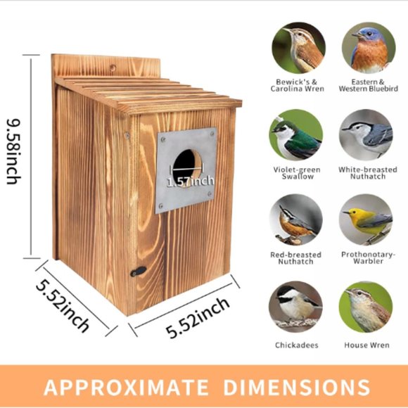 Pine Wood Birdhouse w/ Metal Predator Guard & Cleaning Door - Picture 2 of 10